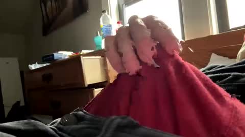 freezeskiii online show from 18, 11, 2025