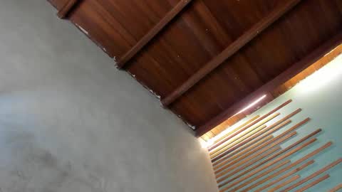 Xavier online show from 6, 3, 2026