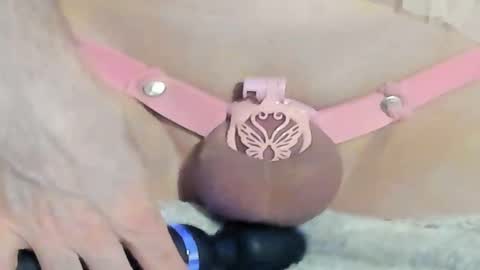 Meadow online show from 28, 12, 2024