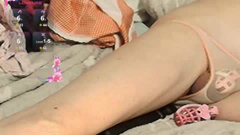 Meadow online show from 2, 2, 2025