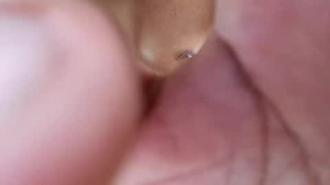 Phantom online show from 17, 2, 2025