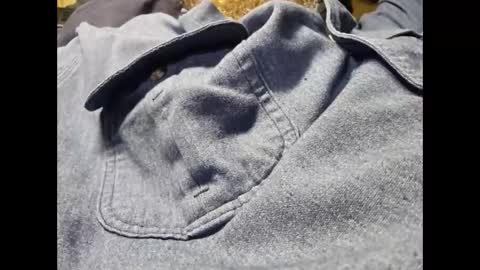 Snapshot of frickish chatting on 20, 12, 2024 Frickish online show from 20, 12, 2024