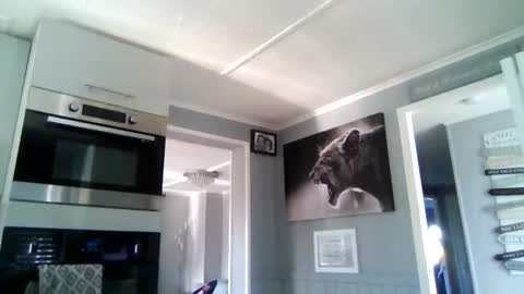 Snapshot of friskyneedsum chatting on 2, 12, 2025 bob online show from 2, 12, 2025