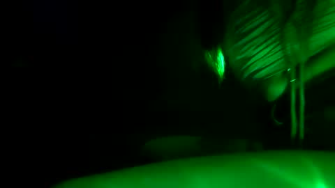 fu338208 online show from 30, 10, 2025