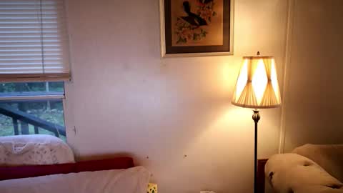 Snapshot of fuckmypussyplz1 chatting on 20, 10, 2025 fuckmypussyplz1 online show from 20, 10, 2025