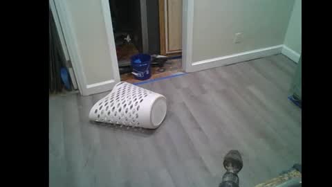 fuckwithmeonetime01 online show from 16, 2, 2026