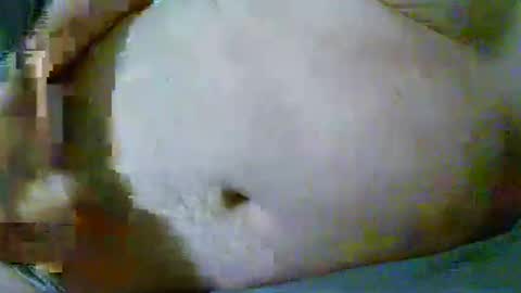 fultonstreet196860 online show from 10, 4, 2026