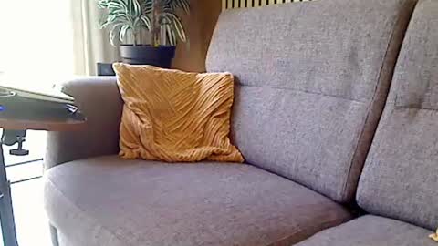 Snapshot of fun4couples chatting on 19, 6, 2026 fun4couples online show from 19, 6, 2026