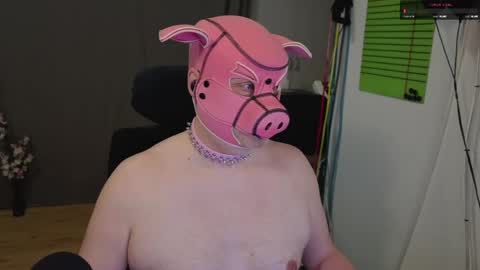 Piggy online show from 16, 5, 2026