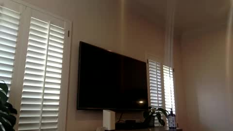 Snapshot of funtimes4us32 chatting on 12, 12, 2024 Funtimes4us32 online show from 12, 12, 2024