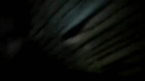 YoungBullAl online show from 20, 12, 2024