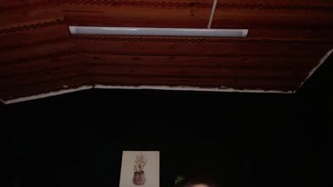 FIRE AND FOX online show from 18, 11, 2025