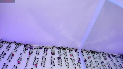 Snapshot of gaby_mason chatting on 28, 2, 2025 Gaby online show from 28, 2, 2025