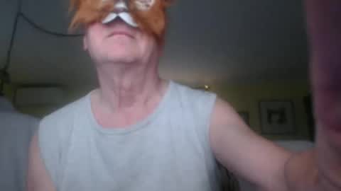 galera100 online show from 22, 2, 2026