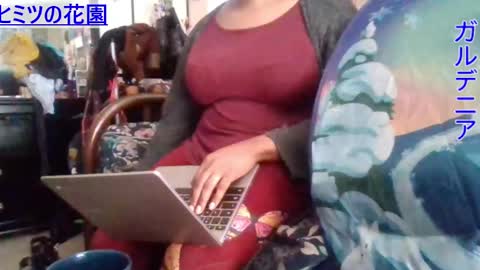 Gardenia online show from 2, 12, 2024