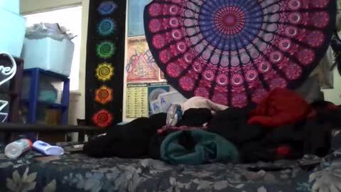 Gardenia online show from 29, 3, 2026