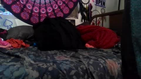 Snapshot of gardeniaspear chatting on 20, 5, 2026 Gardenia online show from 20, 5, 2026