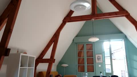 Snapshot of gentelassss chatting on 4, 11, 2025 gentelassss online show from 4, 11, 2025