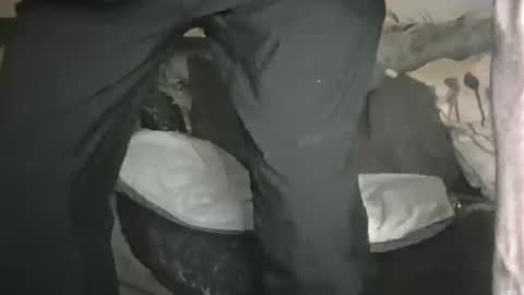 Geon online show from 1, 2, 2026