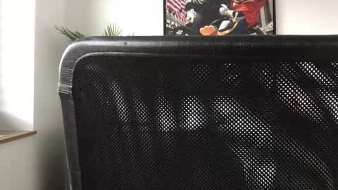 Snapshot of german3003 chatting on 28, 10, 2025 german3003 online show from 28, 10, 2025