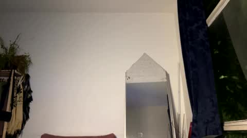 Snapshot of gerson229 chatting on 12, 9, 2025 gerson229 online show from 12, 9, 2025