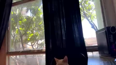 Snapshot of gerson229 chatting on 23, 10, 2025 gerson229 online show from 23, 10, 2025