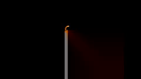 Snapshot of gerson229 chatting on 14, 1, 2026 gerson229 online show from 14, 1, 2026