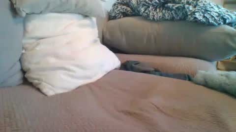 Getsome11 online show from 8, 3, 2026