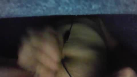 gezuz42069 online show from 31, 3, 2026