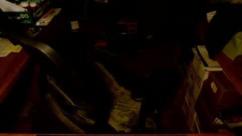 gfhdhr2 online show from 4, 3, 2025