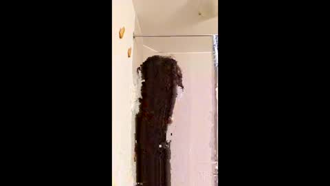 ggggu495826 online show from 10, 2, 2026