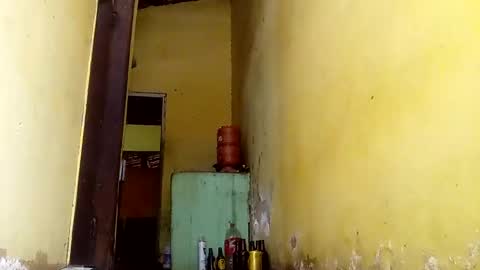 Gaby online show from 13, 10, 2025