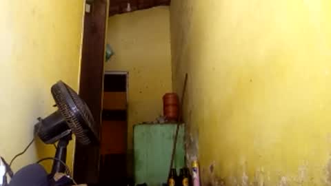 Gaby online show from 9, 4, 2026