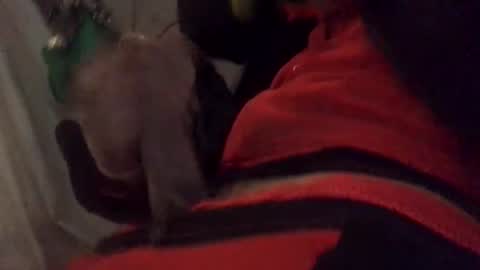 Snapshot of ghallofino26 chatting on 5, 2, 2026 ghallofino26 online show from 5, 2, 2026