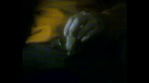Snapshot of giftedbiker11 chatting on 14, 5, 2026 giftedbiker online show from 14, 5, 2026