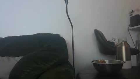 Snapshot of gildedsins1 chatting on 24, 2, 2026 WildBoyVibes online show from 24, 2, 2026