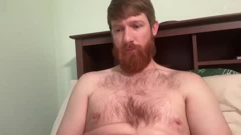 gingermania10 online show from 19, 12, 2024