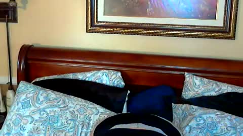 Snapshot of ginny_rose chatting on 15, 5, 2026 Ginny Rose online show from 15, 5, 2026