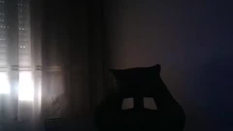 Snapshot of gioshadow chatting on 26, 5, 2026 gioshadow online show from 26, 5, 2026