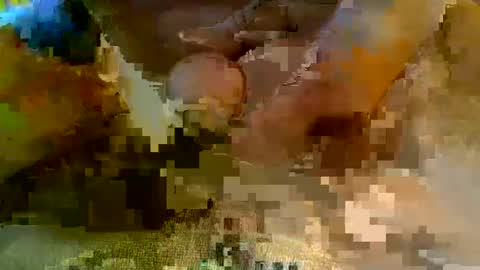 girafsnoop online show from 5, 1, 2025