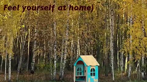 Snapshot of girl_u_never_met chatting on 22, 2, 2026 Kristin online show from 22, 2, 2026