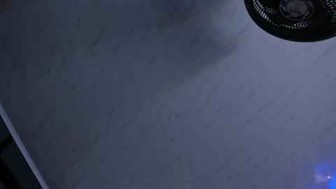     online show from 29, 4, 2026