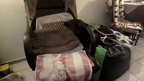 Snapshot of gjslave chatting on 11, 9, 2025 gjslave online show from 11, 9, 2025