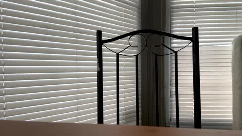 Snapshot of glazehoney chatting on 10, 1, 2025 glazehoney online show from 10, 1, 2025