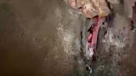 Snapshot of glazehoney chatting on 28, 10, 2025 glazehoney online show from 28, 10, 2025