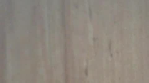 Snapshot of glyder1961 chatting on 7, 2, 2025 Glyder online show from 7, 2, 2025