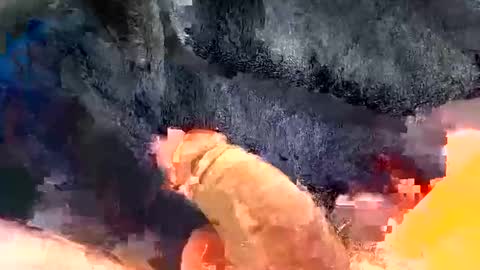 Gman online show from 30, 12, 2024