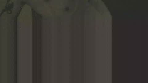 Snapshot of gnz310388 chatting on 12, 2, 2026 gnz310388 online show from 12, 2, 2026