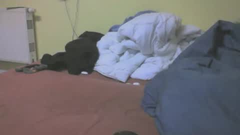 Snapshot of gnz310388 chatting on 4, 3, 2026 gnz310388 online show from 4, 3, 2026