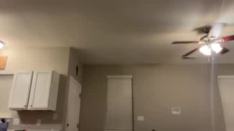 Snapshot of goddess_milaa chatting on 6, 1, 2025 Princess Miila BBC Daddy online show from 6, 1, 2025